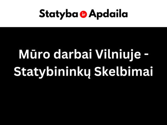 Muro darbai Vilniuje