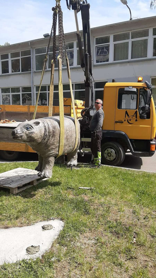 MB Mc transportt