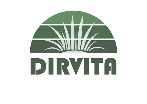 MB Dirvita