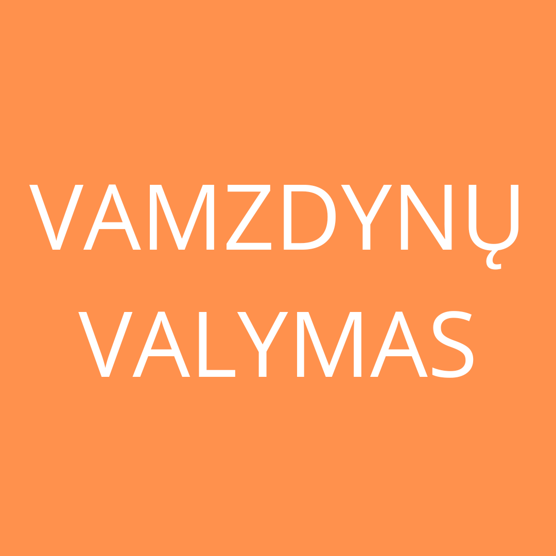 Vamzdynų valymas